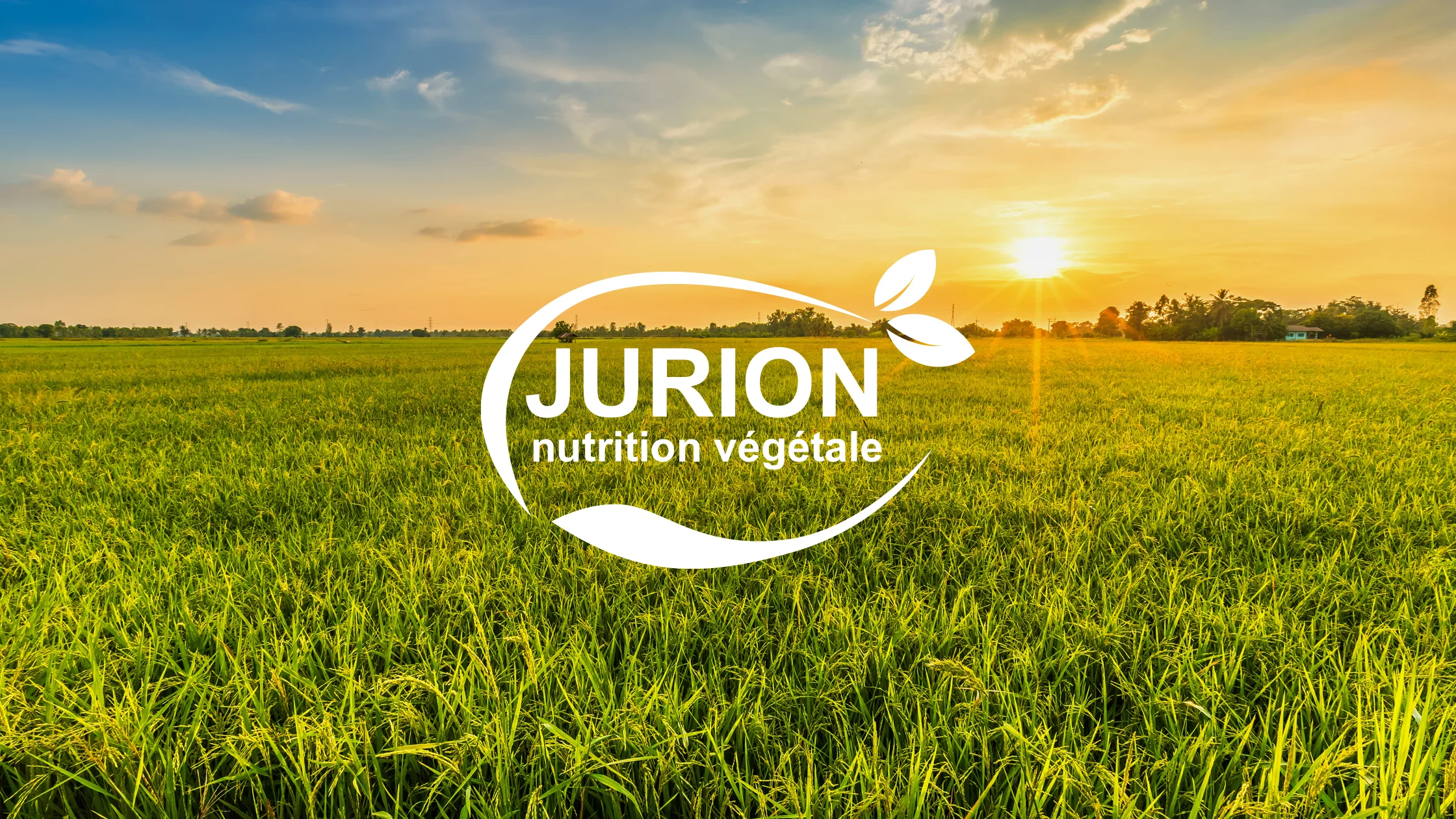 Logo Jurion nutrition végétale